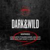 bts-dark-&-wild