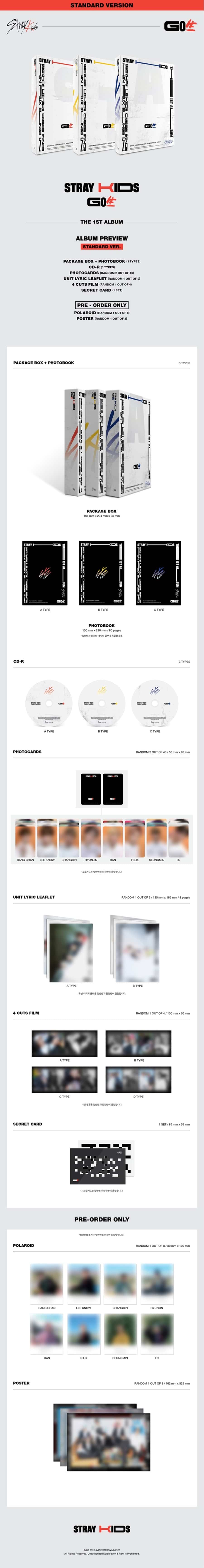 stray-kids-1st-album-go-live-wholesales