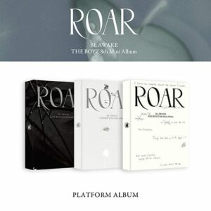 the-boyz-8th-mini-be-awake-platform-album