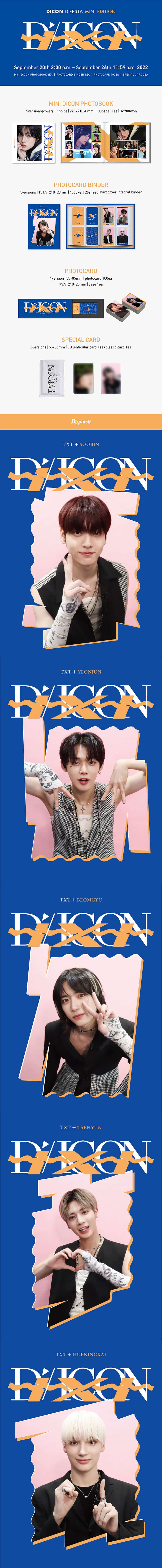 txt-d-festa-mini-edition-wholesale