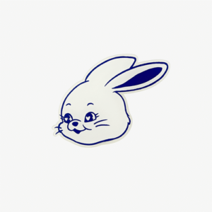 newjeans-smarttok-tokki
