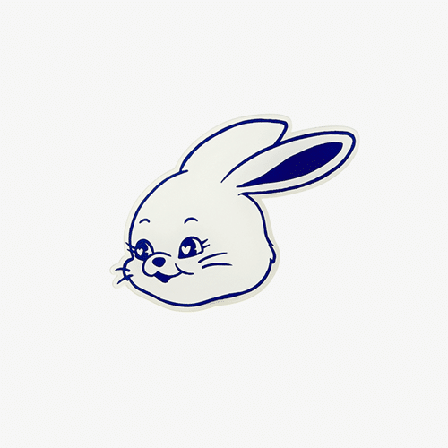 newjeans-smarttok-tokki
