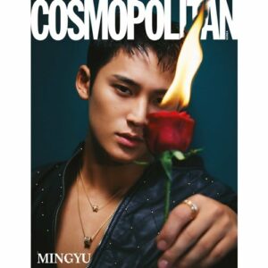 cosmopolitan-dec-cover-seventeen-d-type